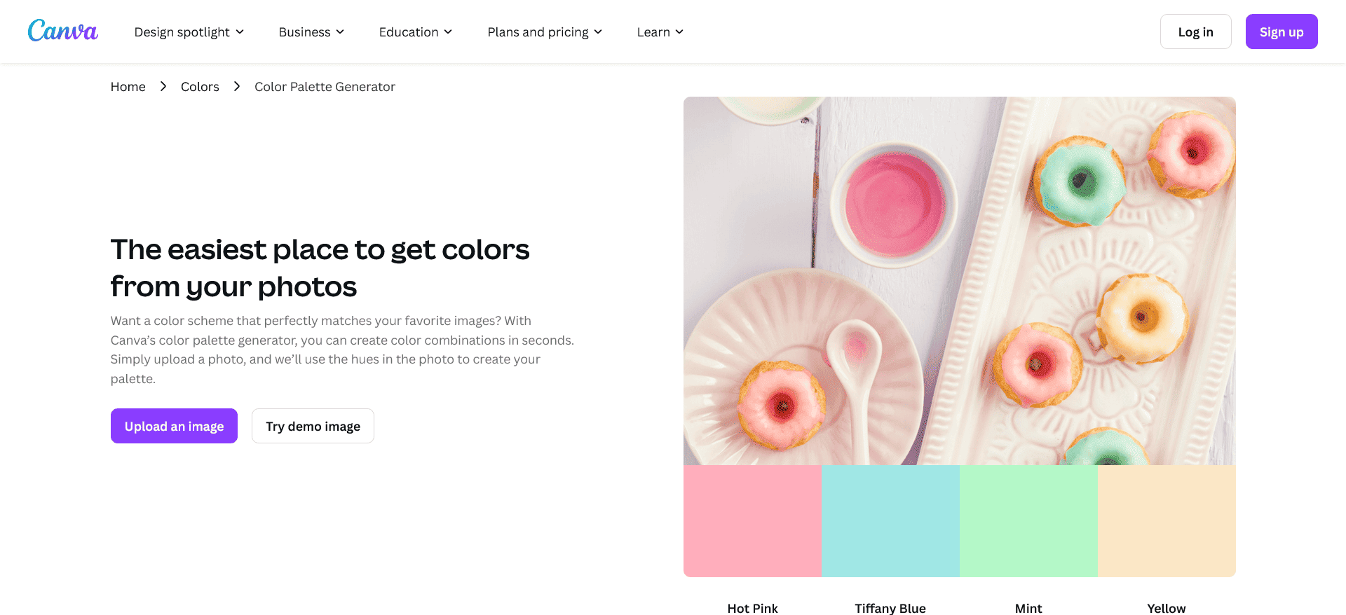 Color Palette by Canva
